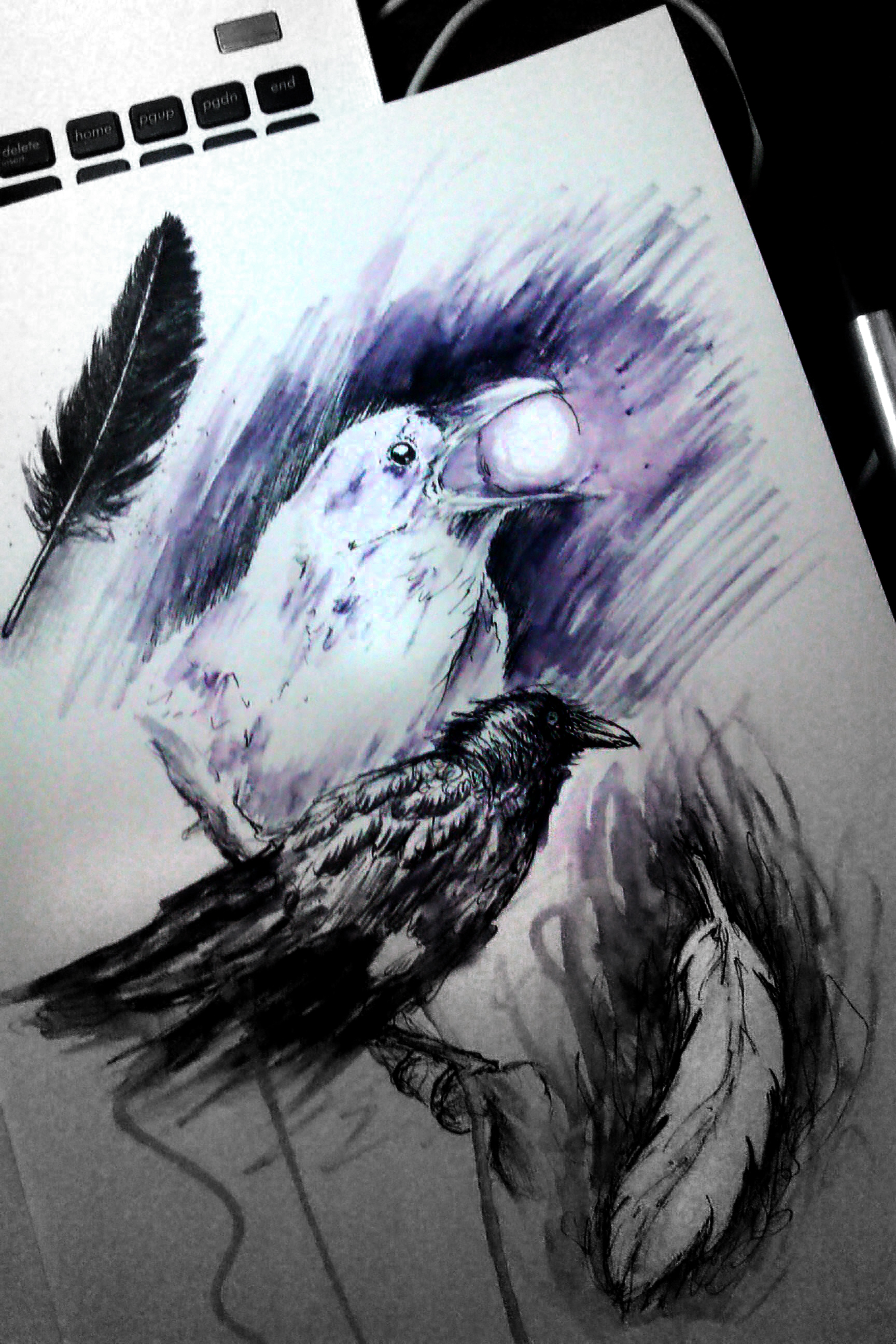 Raven Studies